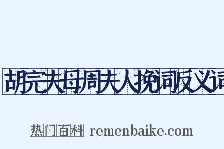 胡完夫母周夫人挽词反义词是什么意思的图片